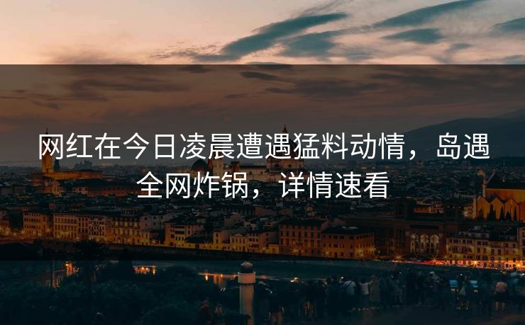 网红在今日凌晨遭遇猛料动情,岛遇全网炸锅,详情速看 网红在今日凌晨遭遇猛料动情,岛遇全网炸锅,详情速看