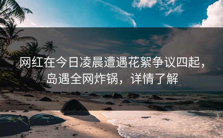 网红在今日凌晨遭遇花絮争议四起,岛遇全网炸锅,详情了解 网红在今日凌晨遭遇花絮争议四起,岛遇全网炸锅,详情了解