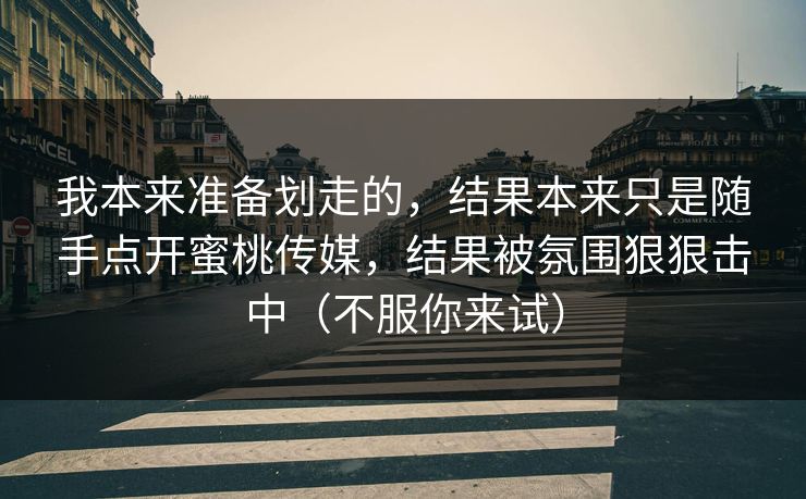 我本来准备划走的，结果本来只是随手点开蜜桃传媒，结果被氛围狠狠击中（不服你来试）